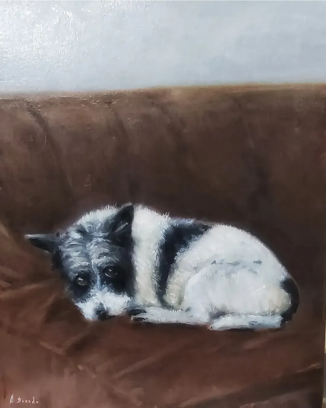 Tambor - Oli